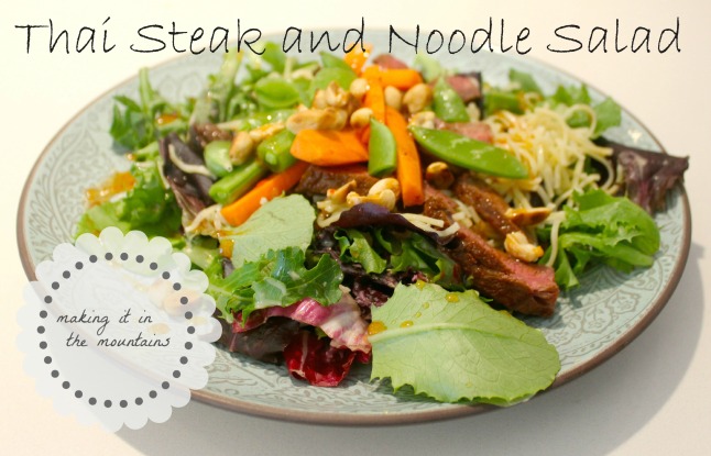Thai Steak and Noodle Salad | making it in the mountains